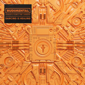 Rudimental, Charlotte Plank & Vibe Chemistry