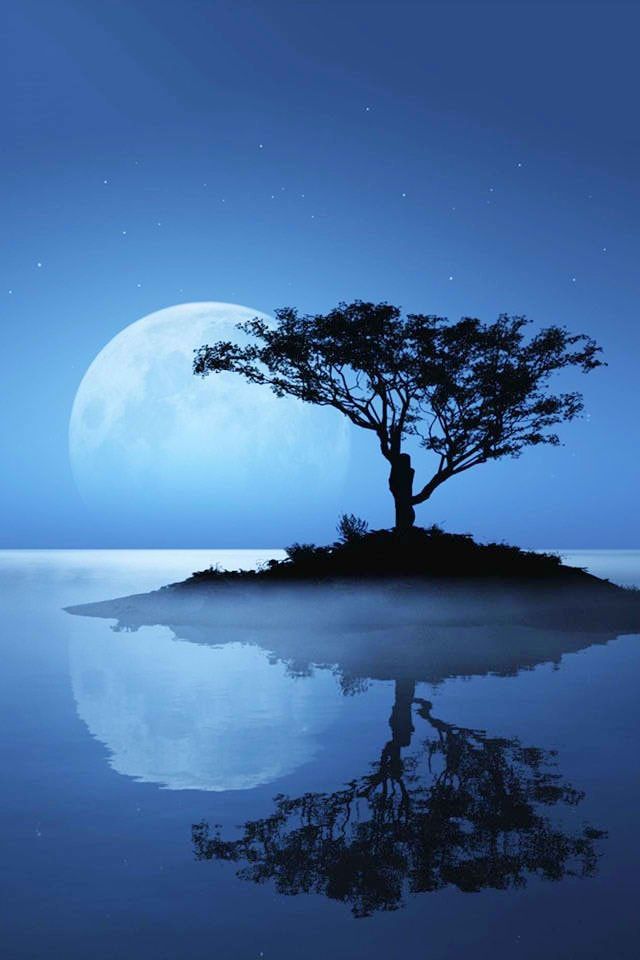 Midnight Moon Wallpaper